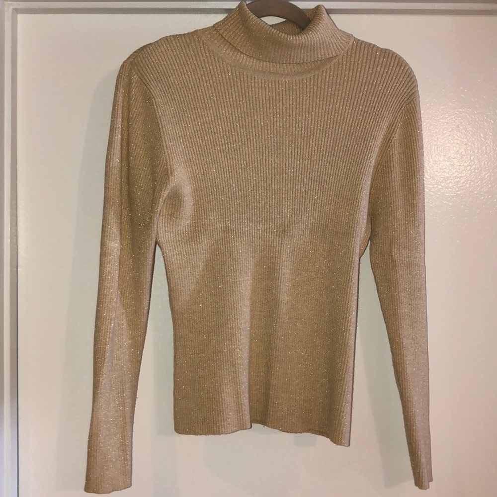 ✨Shimmery long sleeve turtleneck✨